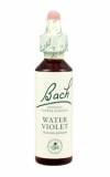 Water Violet (Žebratka bahenní)